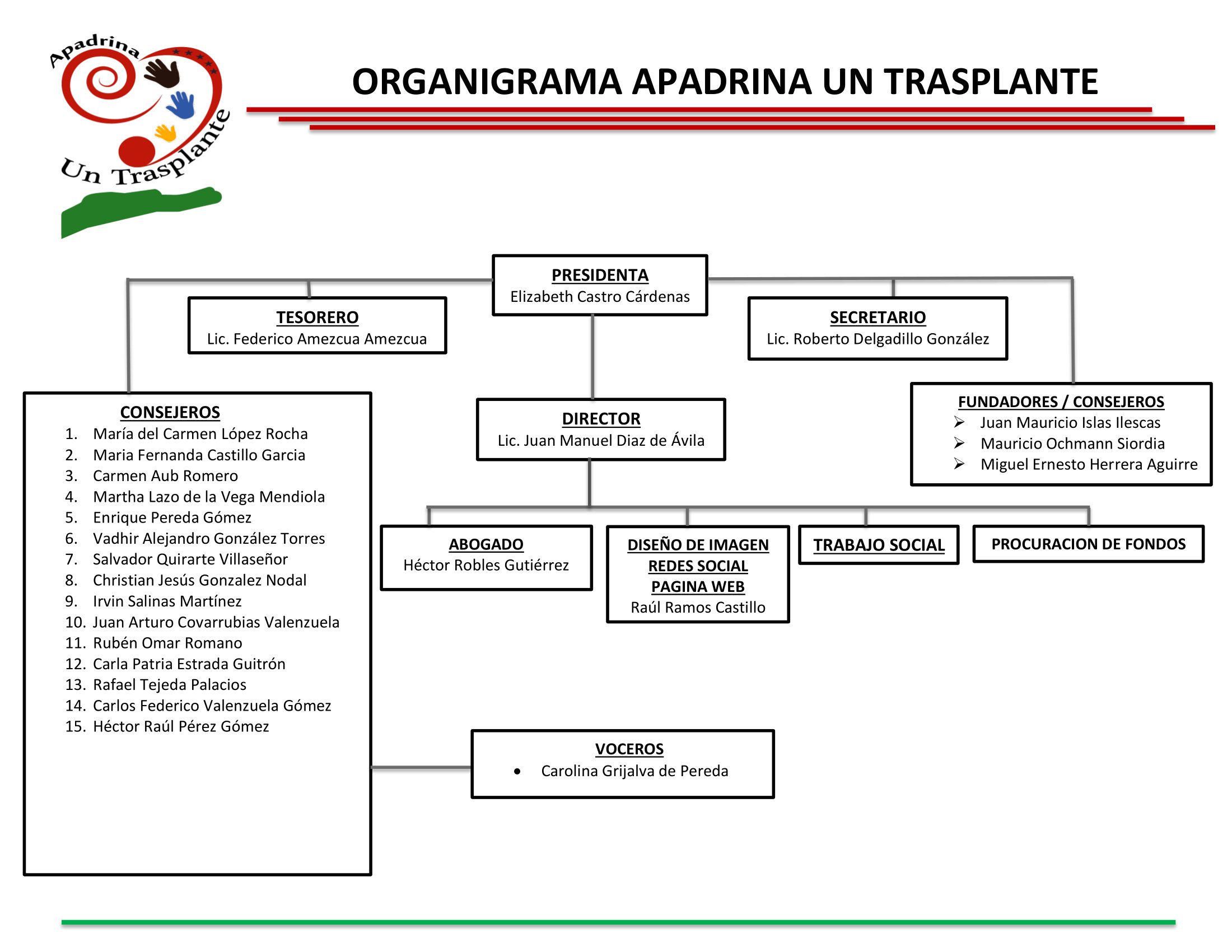 ORGANIGRAMA APADRINA UN TRASPLANTE 05 OCT 2023